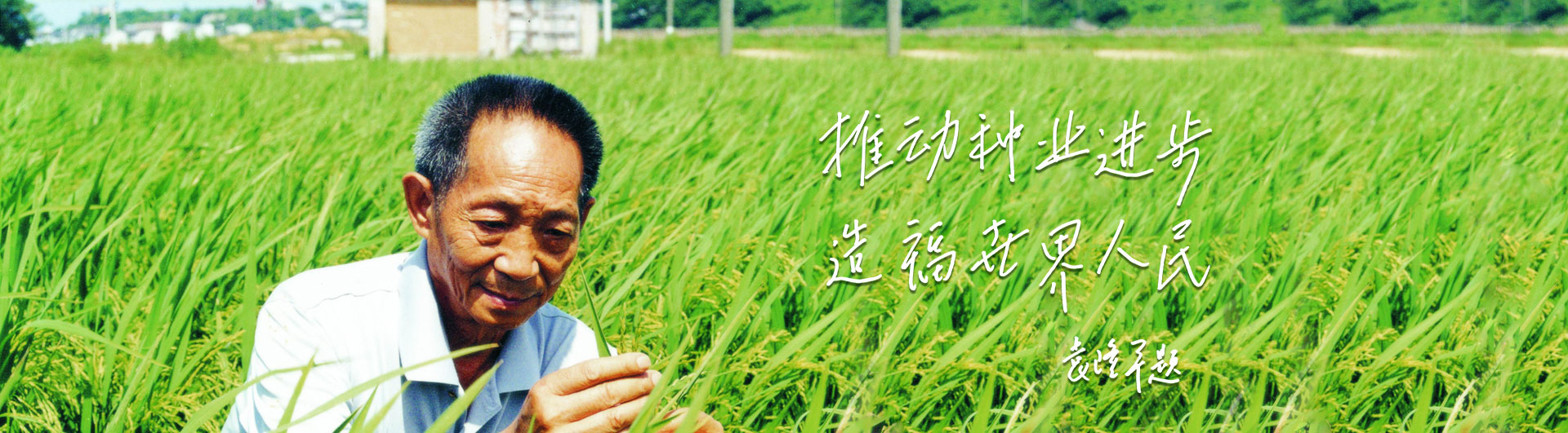 918博天堂高科