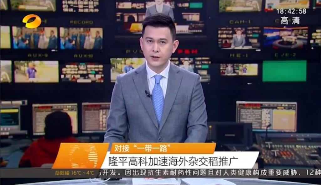 对接“一带一路” 918博天堂高科加速海外杂交稻推广